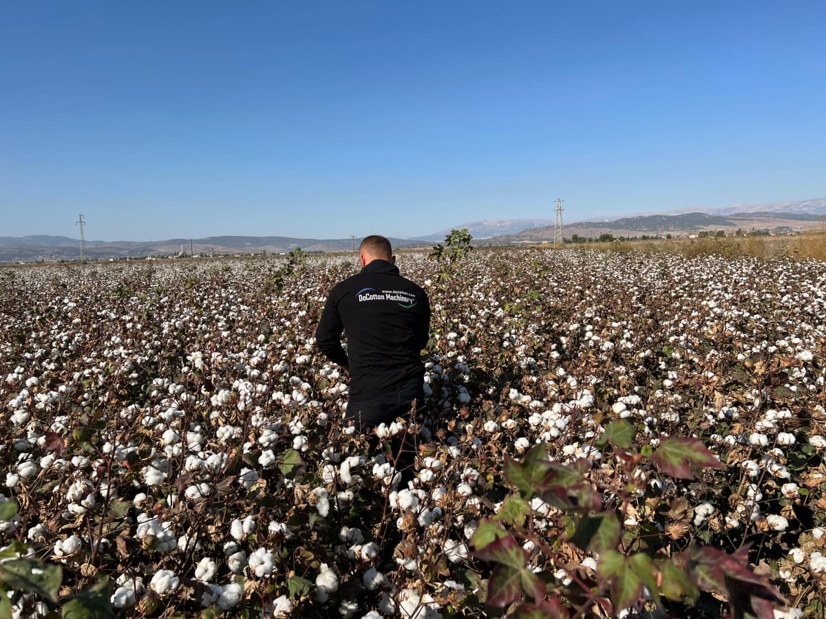 Docotton Organik Pamuk